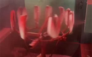 500×8 电动车后视镜喷漆20241214012