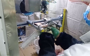 200X4-玩具火车头20241216002