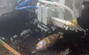 200X4-玩具鱼20241216003