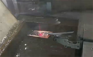 200X6A-玩具恐龙20241216009